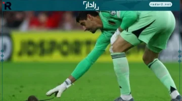 حادث مفاجئ.. توقف مباراة ويلز وبلجيكا بسبب دخول فأر غير متوقع